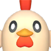 Chikipi portrait