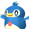 Pengullet portrait
