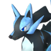 Rayhound Cryst portrait