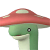 Shroomer portrait
