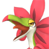 Tropicaw portrait