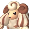 Woolipop Terra portrait