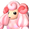 Woolipop portrait